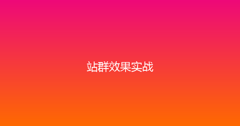 站群效果实战 封面图
